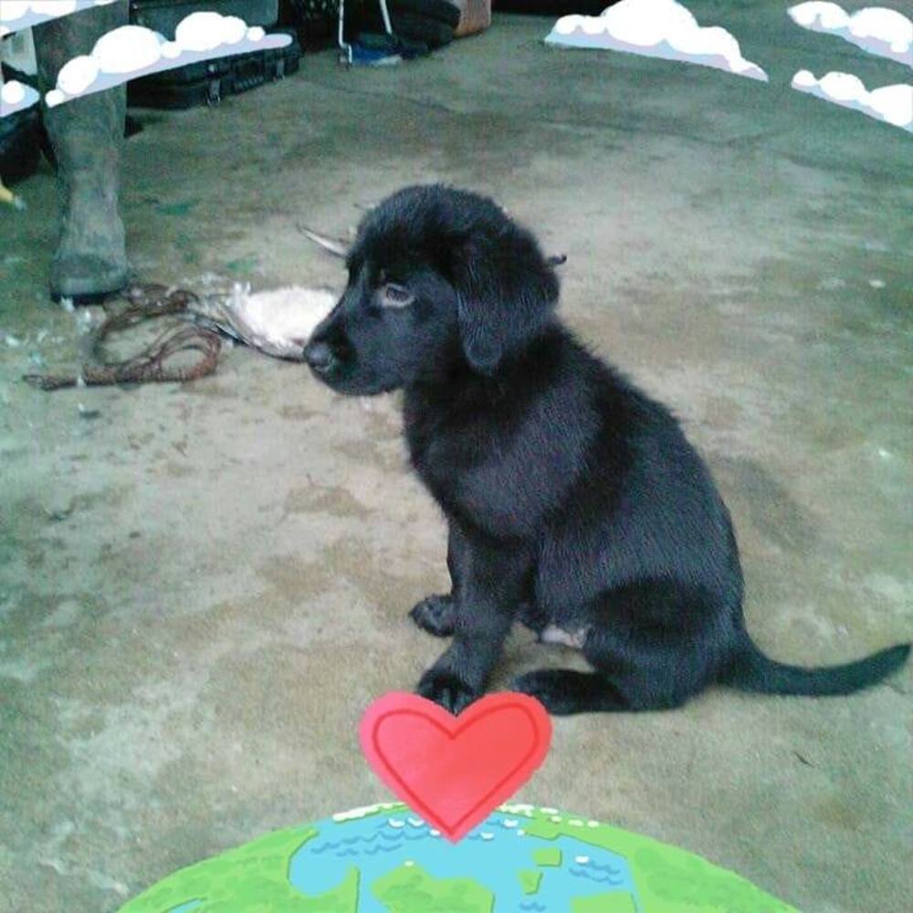 Meet your Posher, Kadence